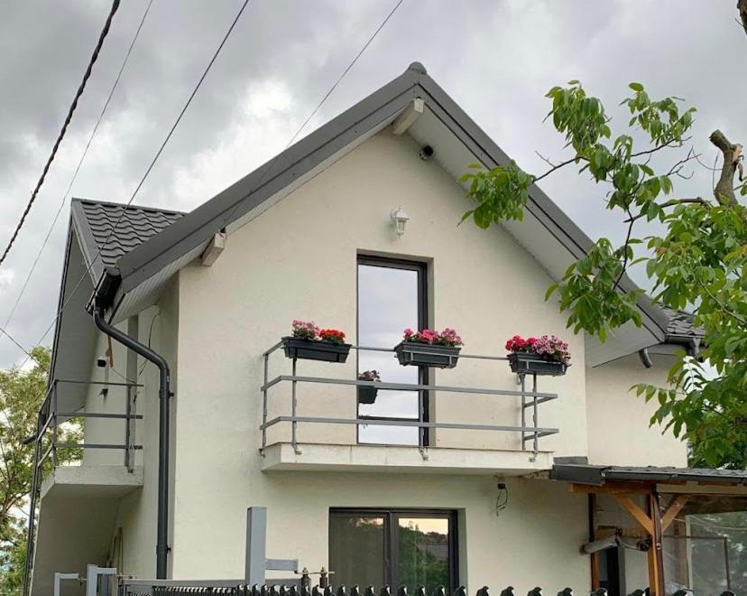 Anastasia'S Villa Iasi Eksteriør billede